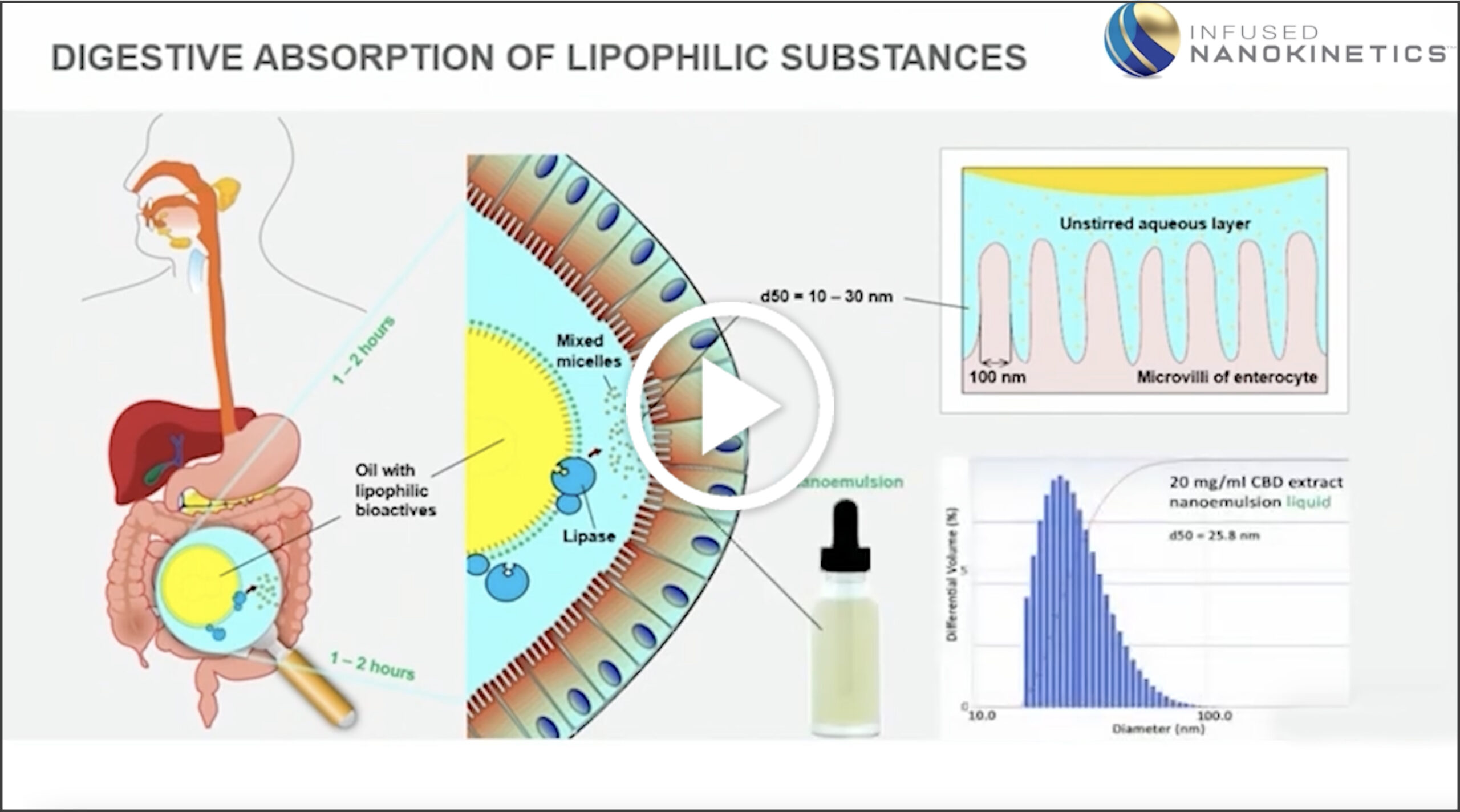 nanoemulsion bioavailability